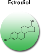 Estradiol structural formula